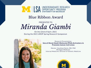 2021 UROP Spring Symposium Blue Ribbon IG 1 